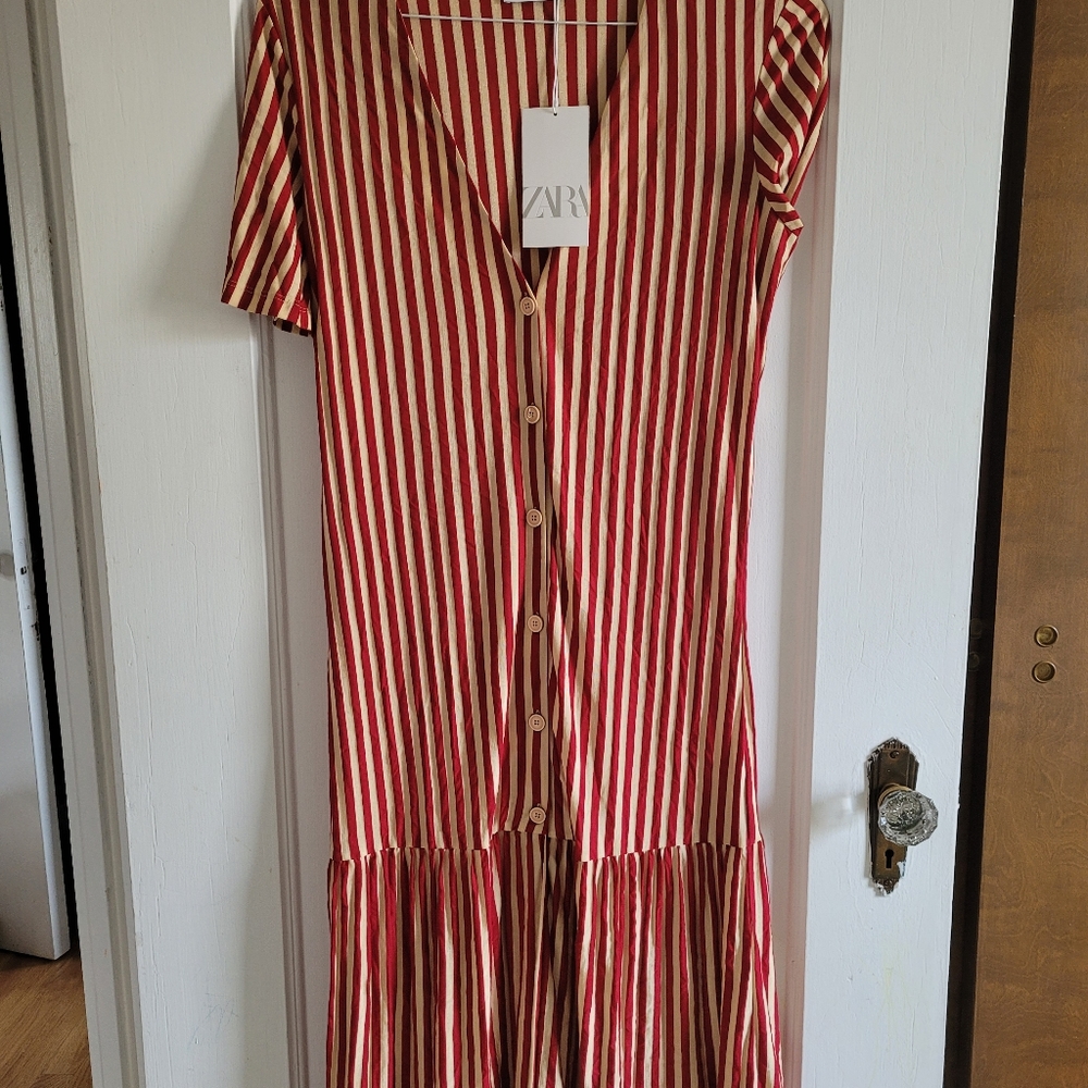 Zara dress